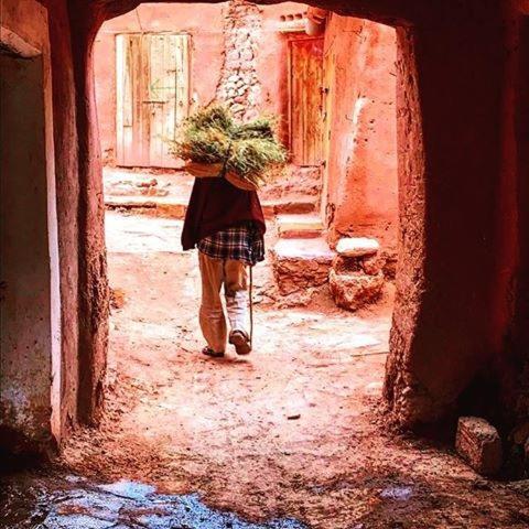 Hotel Kasbah Tiriguioute à Skoura Extérieur photo