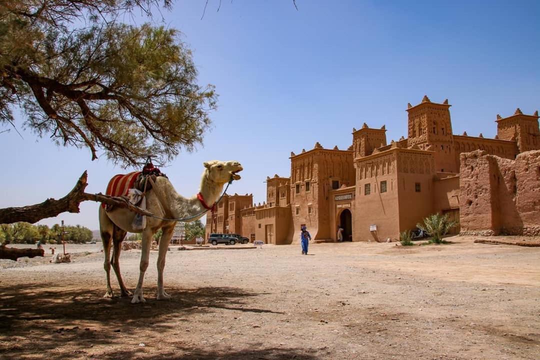 Hotel Kasbah Tiriguioute à Skoura Extérieur photo